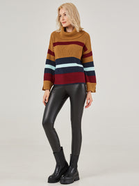 Colorblock Turtleneck Pullover