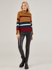 Colorblock Turtleneck Pullover