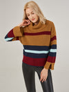 Colorblock Turtleneck Pullover