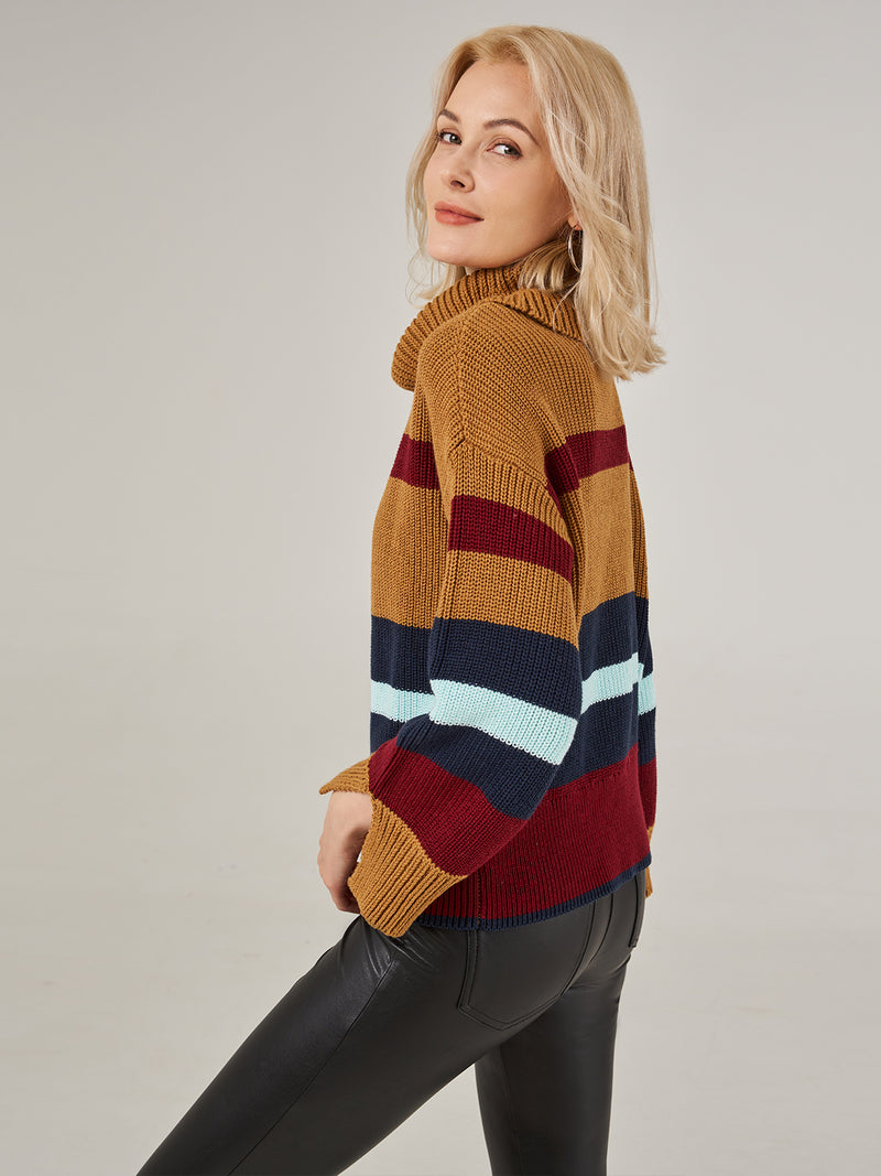 Colorblock Turtleneck Pullover