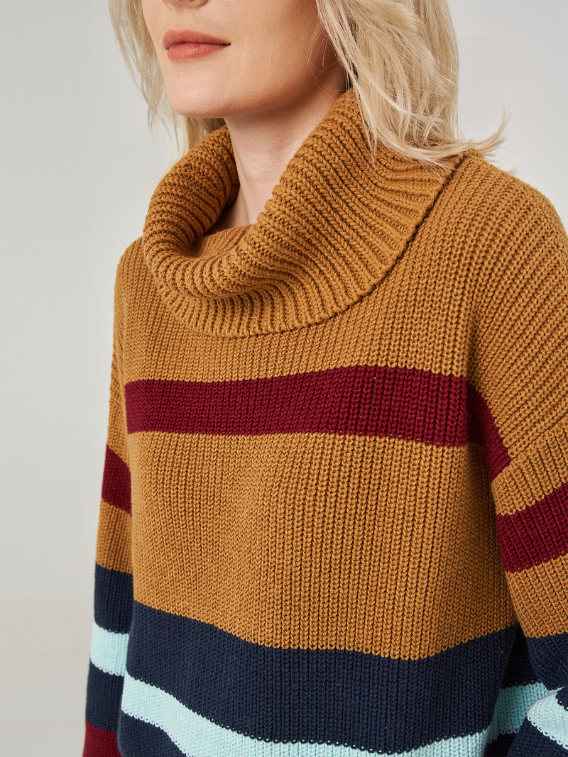 Colorblock Turtleneck Pullover