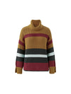 Colorblock Turtleneck Pullover