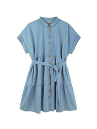 Plus Chambray Tiered Shirt Dress