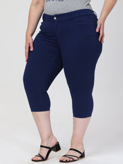 Plus High Waist Capri Pants