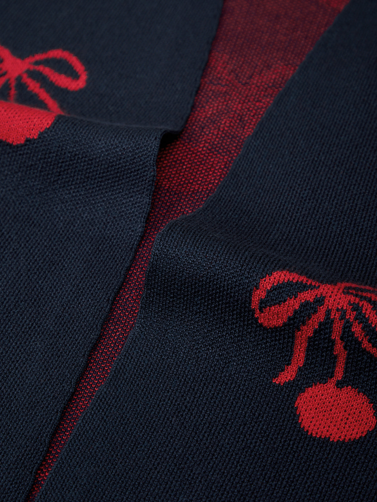 Navy blue fabric with red floral patterns