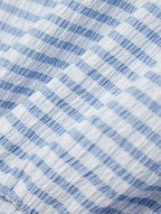 Close-up of blue and white checkered fabric