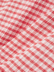 Close-up of red and white checkered fabric