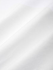 Solid light gray color swatch