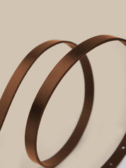 Close-up of a brown metal belt on a beige background