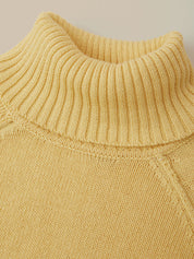 Raglan Sleeve Crewneck Sweater
